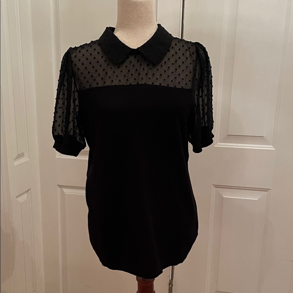 Black Sheer Swiss Dot Collar Blouse - Classic Women's Top